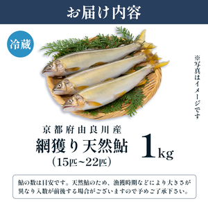 【2025年夏発送】 天然鮎 網獲り 約1kg（約15匹～22匹）あゆ 鮎 鮎 あゆ アユ 生鮎