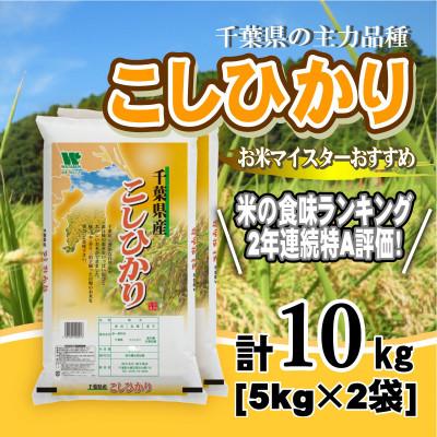 ふるさと納税 大網白里市 【令和7年産】【特A評価】千葉県産「コシヒカリ」精米 10kg(5kg×2袋)