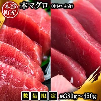 本マグロ（赤身・中トロ）セット 本部町産 約380g～450g マグロ