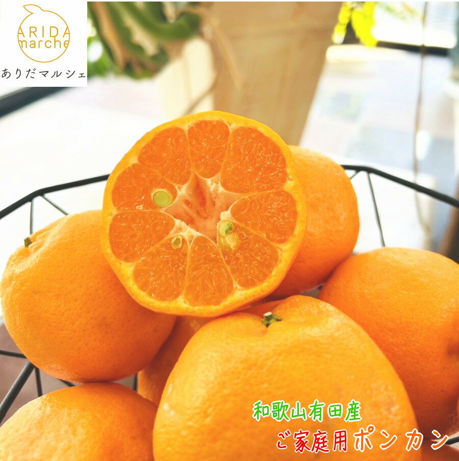 【ふるさと納税】【選べる容量】有田育ちの 完熟 ポンカン（ご家庭用）約2kg～10kg［先行予約］ | フルーツ 果物 くだもの 食品 人気 おすすめ 送料無料 農家直送