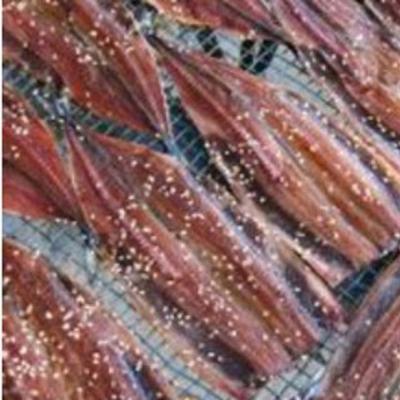 ふるさと納税 南あわじ市 さんまみりん干し16枚　自家製の品!