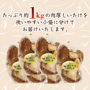 生しいたけ 小分け 袋 約1kg 生 しいたけ シイタケ 椎茸 大ぶり 朝 収穫 食べ応え 厚い 肉厚 うまみ 菌床 栽培期間中 農薬不使用 個包装
