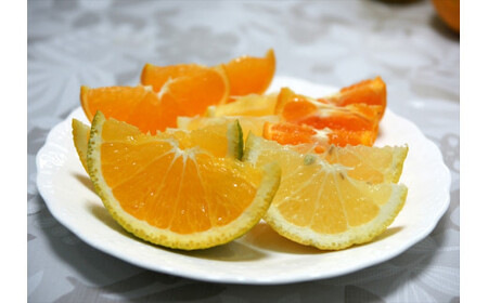 【先行予約】4月おすすめ柑橘詰め合わせ５kg箱＜出荷開始：2025年4月15日~4月30日＞【 フルーツ 神奈川県 小田原市 】