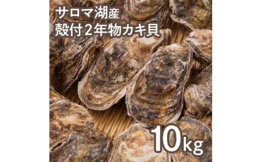 【予約:2024年10月より順次発送】【カキナイフ付】海のミルクサロマ湖産殻付2年物カキ貝 10kg 80～100個入 ( 海鮮 魚介類 貝 お歳暮 お祝い BBQ )【031-0008-2024】