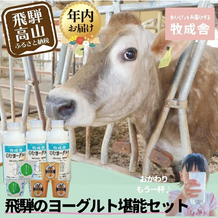 【ふるさと納税】【寄附額見直しました！】【年内配送が選べる】『牧成舎』 飛騨のヨーグルト堪能セット （ヨーグルト2種 / 飲むヨーグルト1種）| 発送時期が選べる 年内発送 ヨーグルト 食べ比べ 飲むヨーグルト 乳製品 セット 飛騨高山 牧成舎 DF011VP