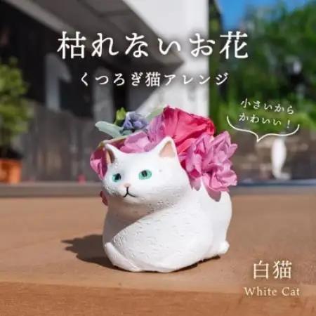 くつろぎ猫(白猫)プリザーブドフラワー ～ネコ好きの方への贈り物に～【1716000】