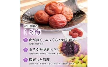  大粒 たっぷり浸かったしそ漬け梅 200g×1パック  塩分10％ / お歳暮 紀州南高梅 訳ありでない 梅干 うめぼし 南高梅 しそ梅 シソ 紫蘇 国産 梅 うめ ウメ ご飯 和歌山県 田辺市 前