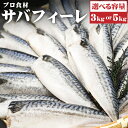 【ふるさと納税】プロ食材 さば フィーレ 3kg or 5kg 鯖 無塩 魚介類 水産加工物 冷凍 茨城県 神栖市 送料無料