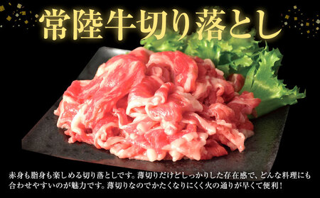 常陸牛 切り落とし 500g × 2パック 1kg (茨城県共通返礼品：茨城県産) ワークミート《30日以内に出荷予定(土日祝除く)》茨城県 河内町 常陸牛 和牛 切り落とし 焼肉 牛丼 肉じゃが 牛