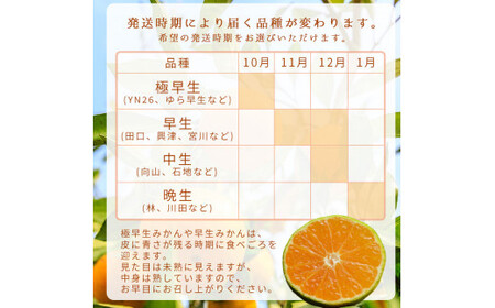 【1月発送】  ご家庭用 有田みかん 和歌山 S～Lサイズ 大きさお任せ 2kg  / みかん フルーツ 果物 くだもの 有田みかん 蜜柑 柑橘【ktn005-1】