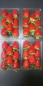 和だや『ならあかり』250g×4パック