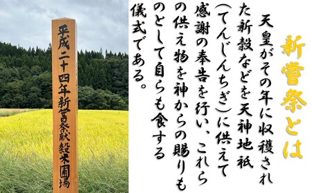 【令和６年新米 先行予約】雪若丸5kg（5kg×1袋）　安心安全なおぐに木酢米　～新嘗祭献穀農家の米～