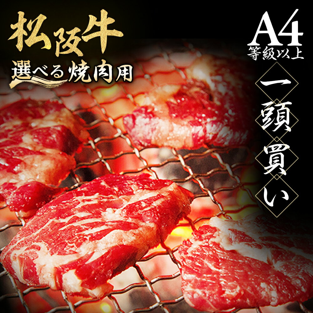 【ふるさと納税】松阪牛 極上霜降り カルビ 焼肉用 500g 焼肉のたれ付 極上の柔らかさ 化粧箱入り 柔らかい 松坂牛 松阪肉 高級ブランド牛 バラ ハネシタ 三角バラ 焼き肉 自宅用 贈答品 ギフトA4 A5 特産松阪牛 お歳暮 お中元 牛肉 とろける 和牛 三重県 NTY