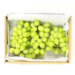 長野県青木村産シャインマスカット（2kg）
