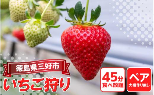いちご 狩り 体験 チケット 大福づくり なし ペア 2人 思い出 家族 夏休み 農園 観光 いちごはうす 民宿 農家民宿 フルーツ狩り 果物 徳島 三好 みよし