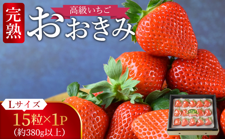
高級いちご 「おおきみ」（15粒入り×1パック約380g以上）【 選べる 贈答用 簡易包装 ご家庭用 いちご イチゴ 苺 先行予約 甘い 大きい 果物 フルーツ 季節物 お祝い お返し サンクール・スマイルファーム 】2025年1月上旬から4月末迄に順次出荷
