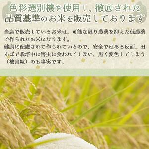 【先行予約】 【きぬむすめ】令和６年産 新米 白米10kg（10kg×1袋）【9月末以降順次発送】(15-60)