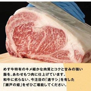 瀬戸の姫 450g（スライス）牛肉