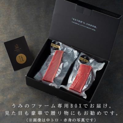 ふるさと納税 大月町 国産 養殖本マグロ 中トロ300g 刺身用 冷凍 柵 ギフト 贈答 産地直送 海鮮丼 寿司 御歳暮 |  | 01