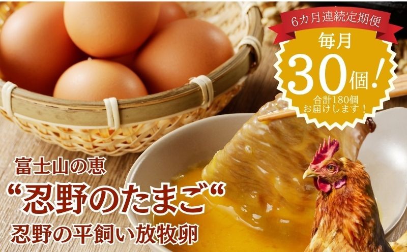 
                  【定期便】忍野の平飼い放牧卵　6か月連続定期便（毎月30個×6か月　合計180個）【定期便　たまご　卵　玉子　平飼い　おしの　放牧】
                