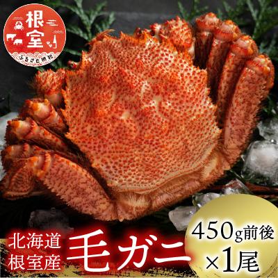 ふるさと納税 根室市 【年内配送可】★毛がに450g前後×1尾 A-21006