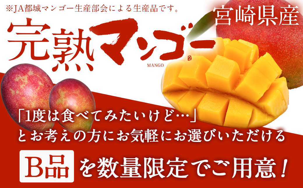 【先行受付!】宮崎県産完熟マンゴー(B品)【2L×1玉、3L×1玉】≪2027年5月中旬以降順次お届け≫〔21-0101〕_(都城市)