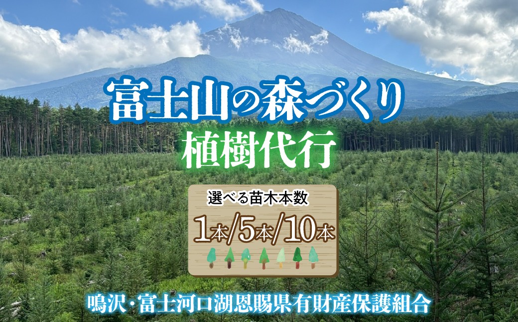 
                  富士山の森づくり植樹代行　【選べる本数！】 NSAP001
                
