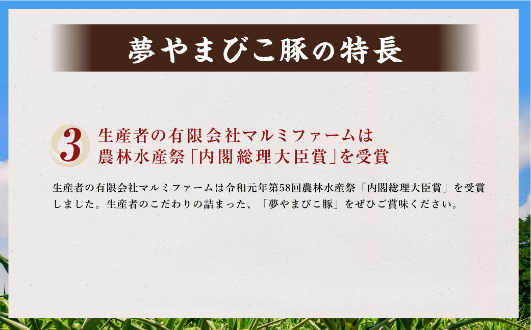 夢やまびこ豚 こま切いっぱいセット 計4kg 