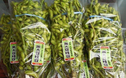 
                  朝来産の丹波黒枝豆(枝付き２kg)【10月中旬から順次発送】
                