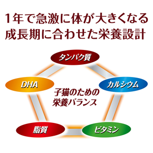 AllWell 健康に育つ子猫用 フィッシュ味 挽き小魚とささみフリーズドライパウダー入り 1.6kg×5袋 ペットフード キャットフード 猫のごはん 猫用フード 猫 ペット ドライ ユニ・チャーム 
