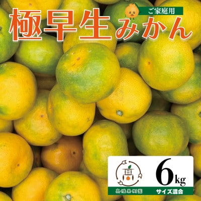 極早生みかん 6kg 熊本県宇城市産【1653512】