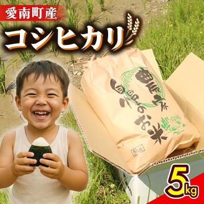 ふるさと納税 愛南町 新米 令和8年産 コシヒカリ 5kg 米 お米 コメ 白米 精米 愛南町 和家農園