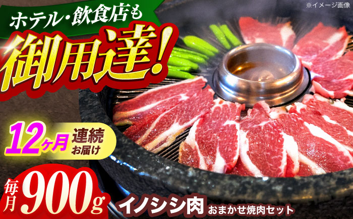 【12回定期便】ジビエ 天然イノシシ肉 おまかせ焼肉セット 900g （ロース・モモ・バラ）【照本食肉加工所】 [OAJ033] / 肉 猪 猪肉 イノシシ イノシシ肉 いのしし しし肉 しし鍋 ボタ
