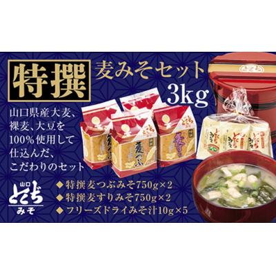 ふるさと納税 山口市 とくぢ味噌特撰詰め合わせ3kg D124