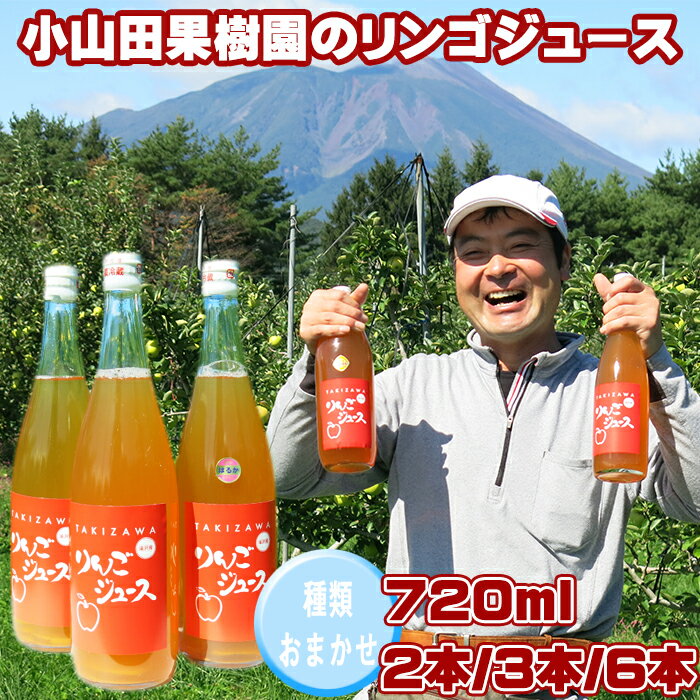 【ふるさと納税】 りんごジュース おすすめ 種類おまかせ 720ml 2本 3本 6本 ／ りんご リンゴ 林檎 アップル ジュース 林檎ジュース アップルジュース ストレートジュース お取り寄せ 果汁100％ 果物 くだもの フルーツ ドリンク 岩手県 滝沢市 送料無料 小山田果樹園