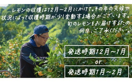 瀬戸内海に浮かぶ離島、大崎上島。『岩﨑農園』は、家族いっしょに大崎上島にIターンした岩﨑さん一家が営む農園です。