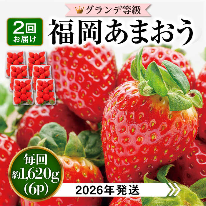 【ふるさと納税】【全2回定期便】あまおう いちご 1,620g ( 約 270g × 6パック ) 【2026年発送】糸島市 / 株式会社HSP-テクノ [AZL006] グランデ等級 福岡県産 30000円 3万円