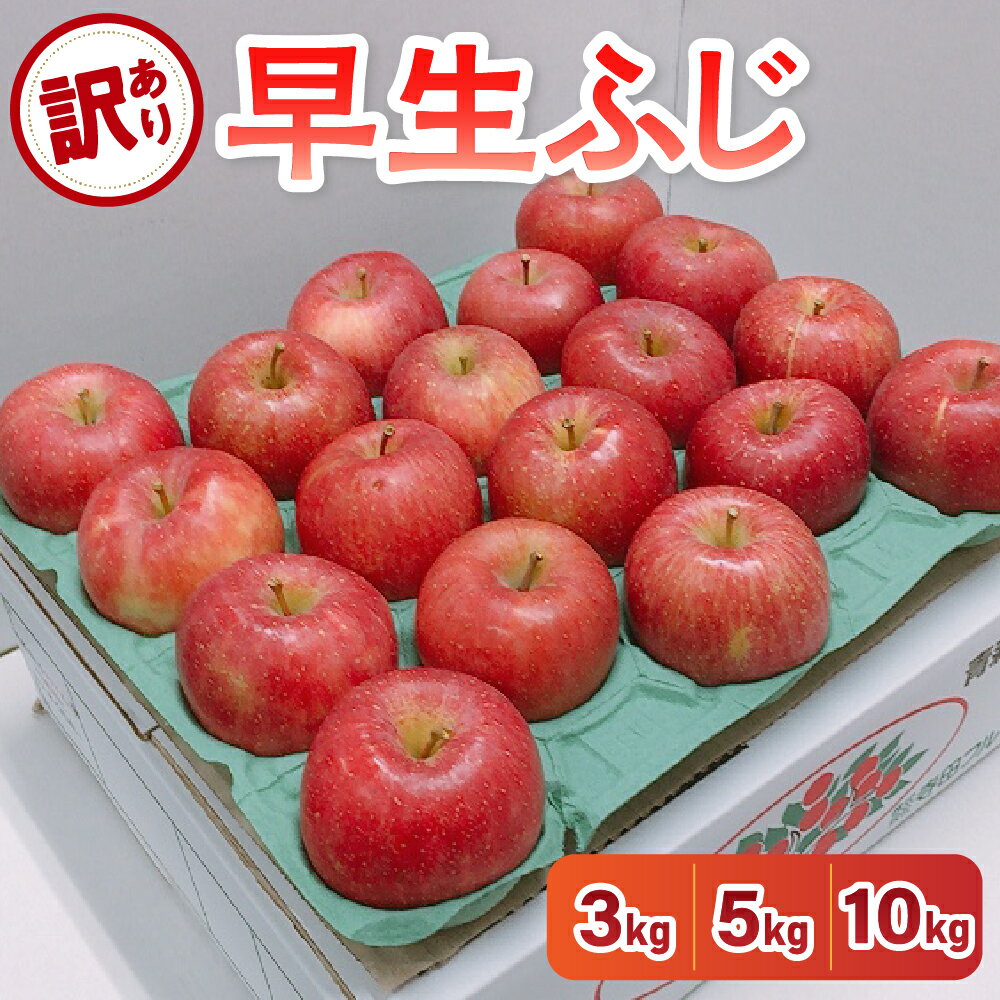 【ふるさと納税】《 2025年10月発送開始》【 訳あり 】 早生ふじ 内容量が選べる 3kg / 5kg / 10kg / りんご 林檎 アップル 規格外 不揃い 果物 くだもの フルーツ 常温保存 秋 旬 青森県 五所川原市