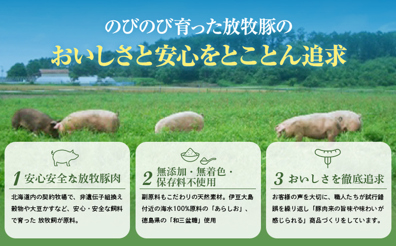【定期便：3回】北海道産放牧豚 無添加ポークウインナー・粗挽きウインナー ×各10パック【120067】