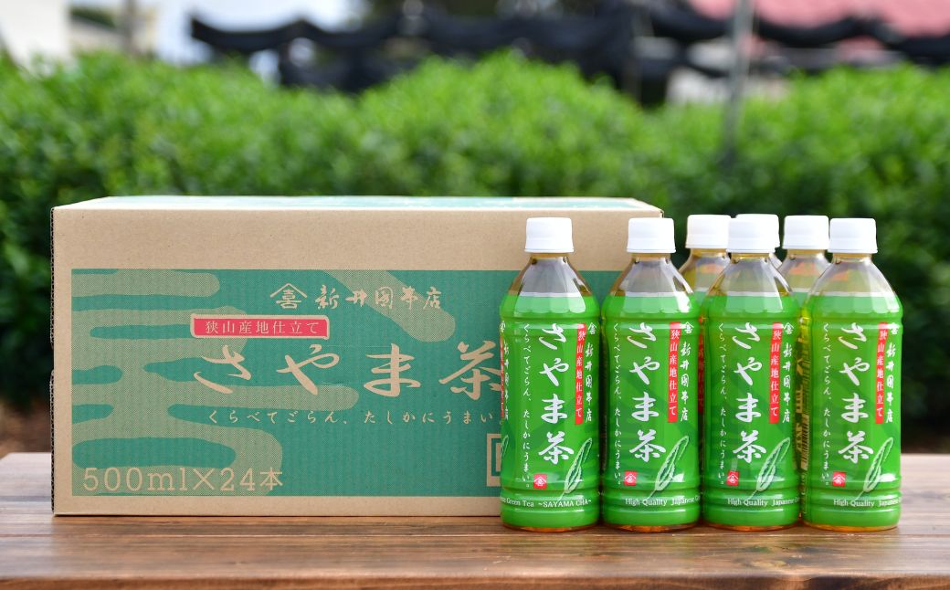 さやま茶 ペットボトル 500ml×24本 | 狭山茶 ペットボトル 茶 お茶 日本茶 緑茶 濃厚 コク 香り 風味 まろやか 美味しい おすすめ ギフト お土産 プレゼント 贈答 新井園本店 埼玉県