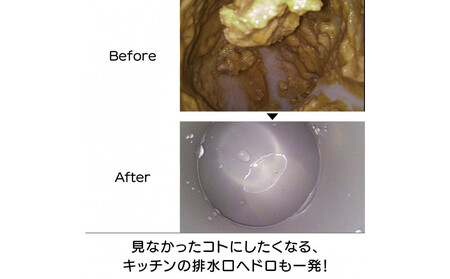 ピカットロンプロ１リットル_1245600333_00