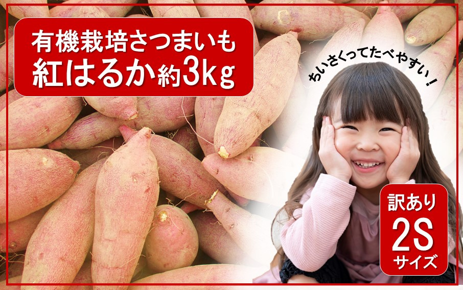 
            【訳あり】小さいサイズのさつまいも紅はるか約3kg（有機栽培 岬ちゃん 2Sサイズ 50g～100g前後/個）_2512R
          