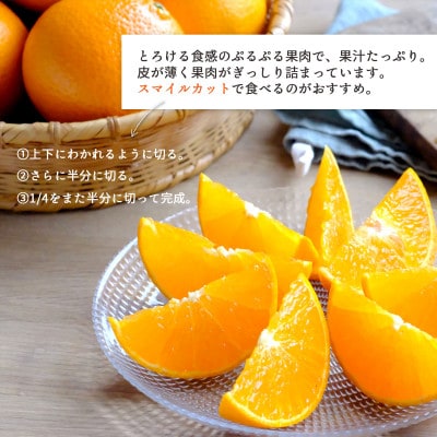 【2026年発送】甘平×まどんな「紅プリンセス」と同品種!愛媛果試48号1.5kg【C25−211】【1612661】