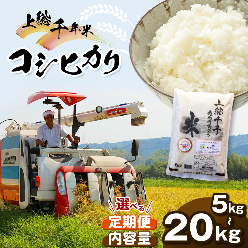 【ふるさと納税】 新米 令和7年産 上総千年米 コシヒカリ 5kg～20kg 1回・3回 ・6回 選べる数量 と 回数 定期便 | 送料無料 お米のソムリエ 厳選 白米 精米 粒が大きい 甘み 粘り強い お米と雑穀の専門店 国際支援 石川商店 君津 きみつ 千葉