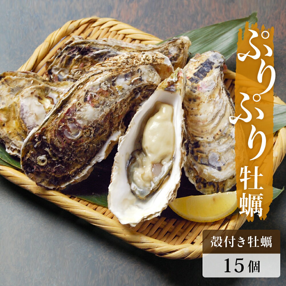 【ふるさと納税】牡蠣 宮城県産 殻付き牡蠣 （15個） 生食用 冷蔵 三陸 新鮮 かき 焼き牡蠣 蒸し牡蠣 宮城県 石巻市 14日以内
