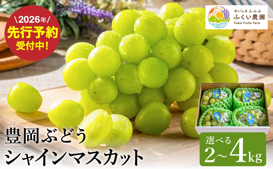
                  【2026年先行予約】シャインマスカット 大粒 豊岡ぶどう 約2kg（3～4房入/箱）選べる1箱・2箱 / 減農薬 豊岡ブドウ 糖度が高い 濃厚 甘味 上品な香り 歯切れの良い 皮ごと 食べられる シャイン マスカット ぶどう ブドウ 葡萄 果物 産地直送 フルーツ ふくい農園
                