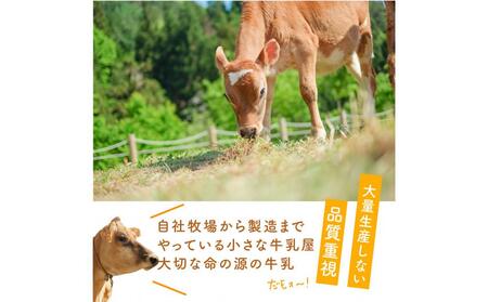 ＜牧成舎＞飛騨の牛乳屋さんが作った こだわりの乳製品お試しセット（牛乳1L×1本・のむヨーグルト750ml×1本・モッツァレラチーズ100g×1個）| 低温殺菌 無添加 牛乳 ヨーグルト チーズ 乳製