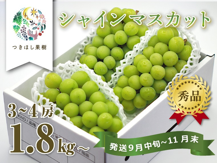 
上山産・絶品シャインマスカット　１.８ｋｇ以上♪　0140-2404
