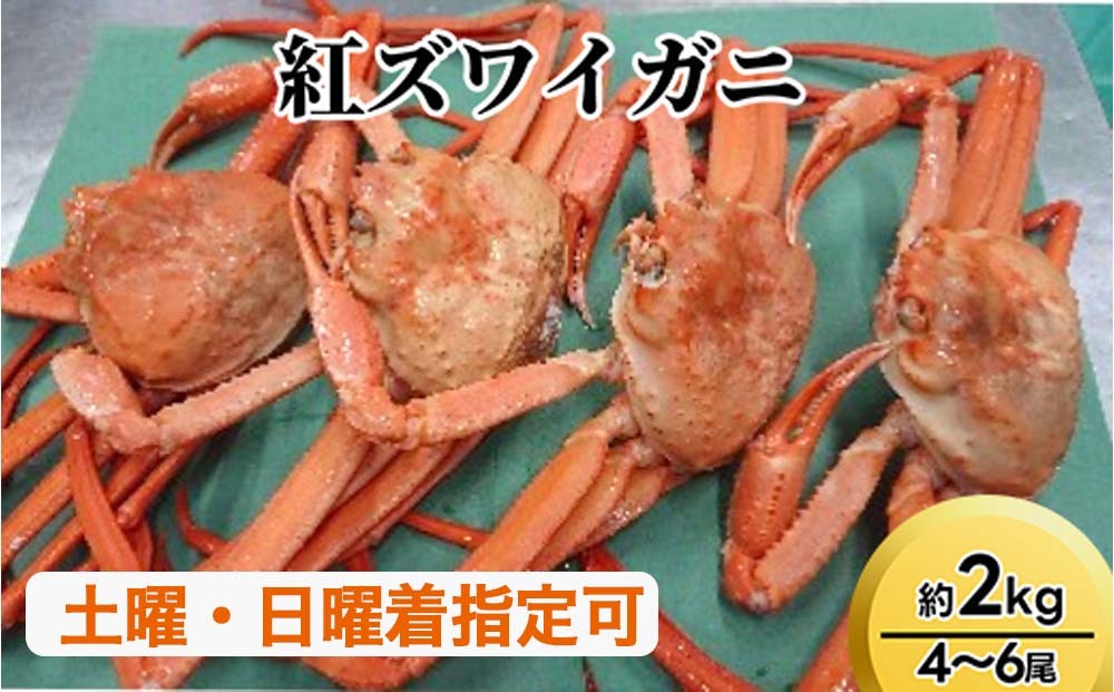 
                  紅ズワイガニ約2kg（4～6尾）【棚辺水産】 ※2026年9月～発送｜ずわい蟹 ずわいガニ ズワイガニ 紅ズワイガニ 紅ずわいがに カニ 蟹 かに かにしゃぶ カニしゃぶ 蟹しゃぶ かに鍋 カニ鍋 蟹鍋 かに味噌 カニ味噌 かにみそ 魚貝類 魚介類 ボイル 国産 富山 富山湾 北陸 富山カニ 北陸カニ 富山かに 北陸かに 富山蟹 北陸蟹
                
