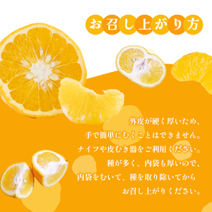 甘夏柑 小豆島産 柑橘 フルーツ 甘夏柑【約5kg】